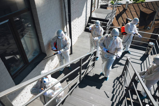 Best Real Estate Mold Inspection  in Highland Lakes, NJ