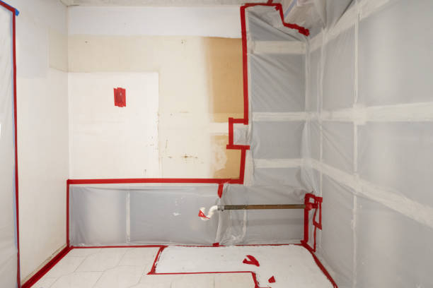 Best Mold Removal for HVAC Installations  in Highland Lakes, NJ