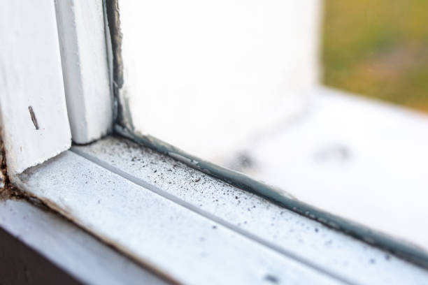  Highland Lakes, NJ Mold Removal Pros