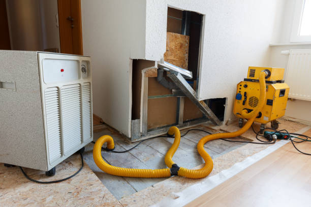 Highland Lakes, NJ Mold Removal Company