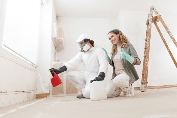Mold Odor Removal Services in Highland Lakes, NJ