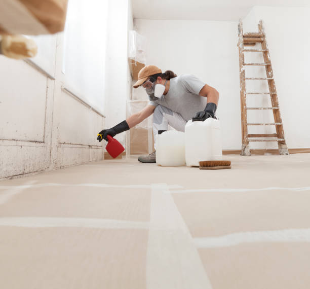 Best HVAC Mold Inspection and Cleaning  in Highland Lakes, NJ