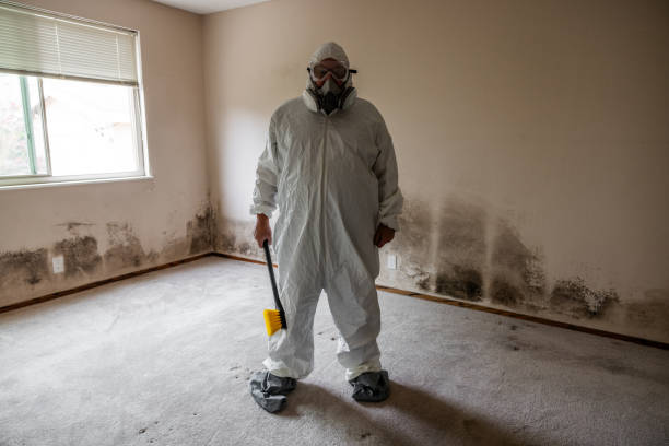 Best Mold Prevention Services  in Highland Lakes, NJ