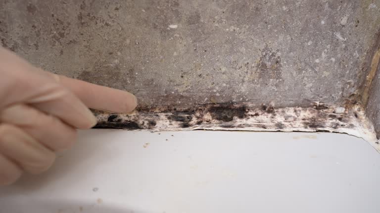 Best HVAC Mold Inspection and Cleaning  in Highland Lakes, NJ