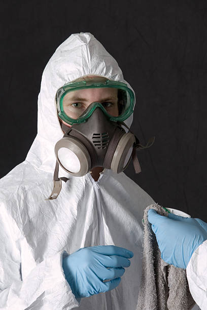 Best Mold Odor Removal Services  in Highland Lakes, NJ
